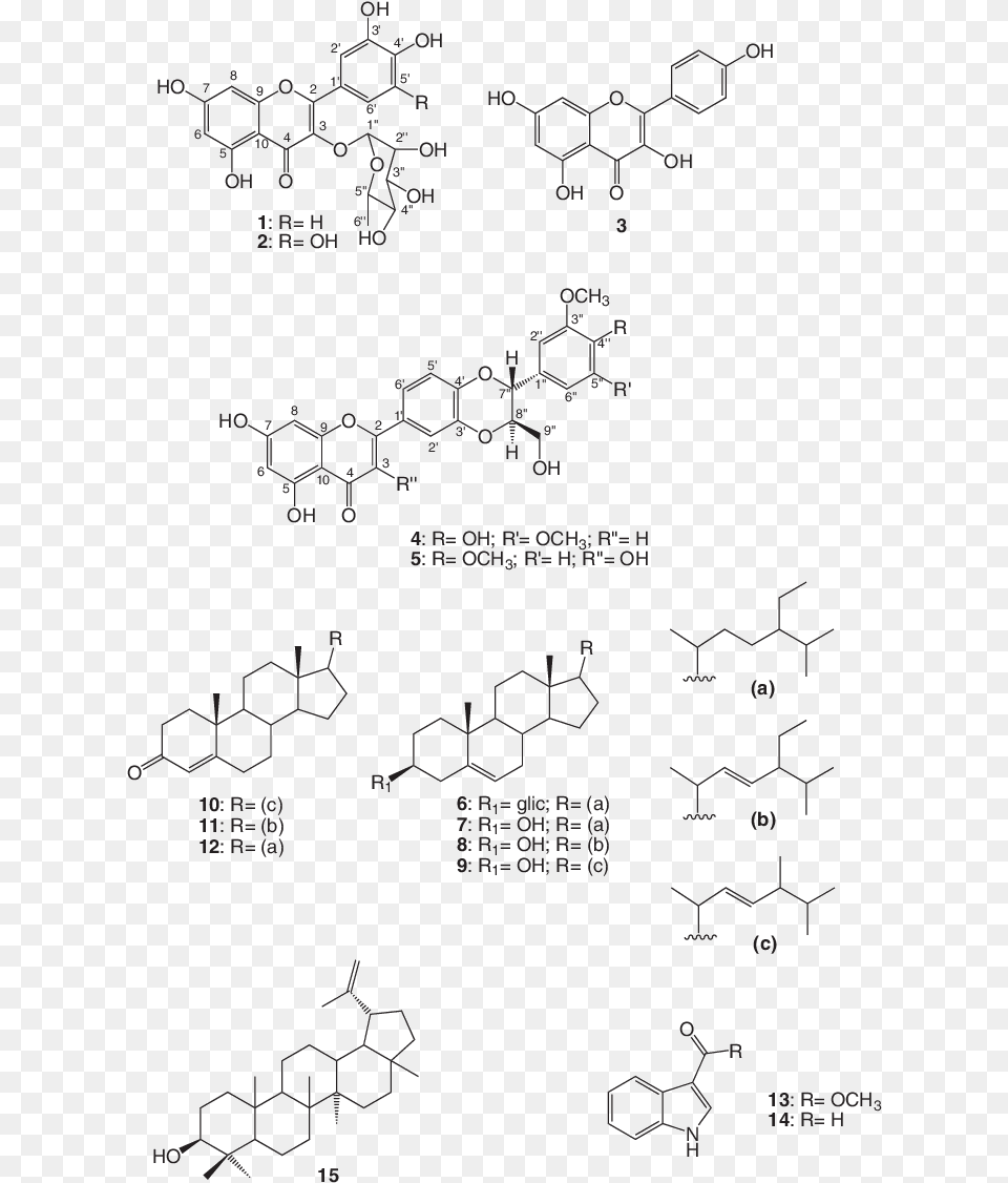 Substncias Isoladas De Mimosa Artemisiana Diagram, Nature, Outdoors, Snow, Disk Png Image