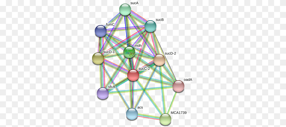 Succ 2 Protein Circle, Sphere, Network Free Png Download