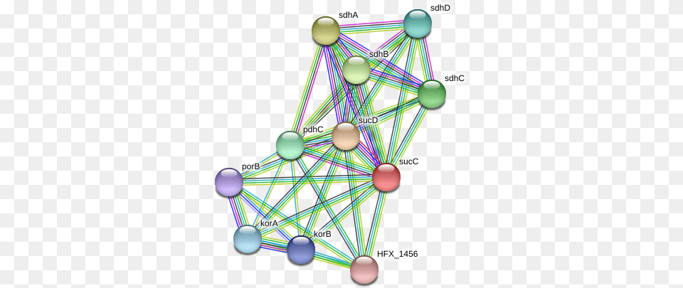 Succ Protein Circle, Sphere, Network, Chandelier, Lamp Png Image