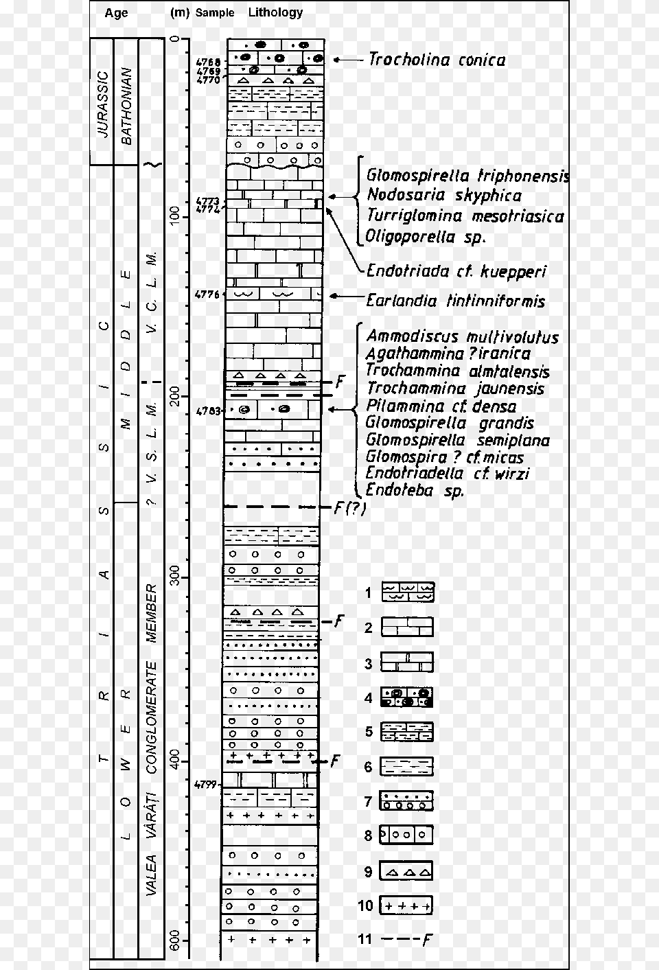 Succession Of The Mesozoic Deposits Bored By The 471 Document, Chart, Diagram, Page, Plan Png Image