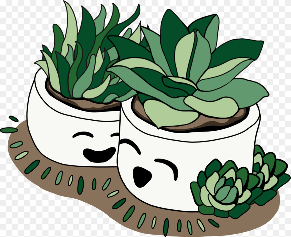 Succi Life Brittany Dana Palmer, Vase, Pottery, Potted Plant, Planter Png Image