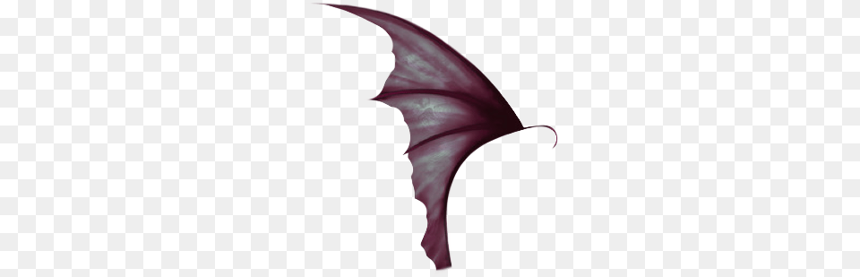 Succubus Demon Wing Couldn T Make A Sticker Of An Marlin, Flower, Plant, Adult, Bride Free Png