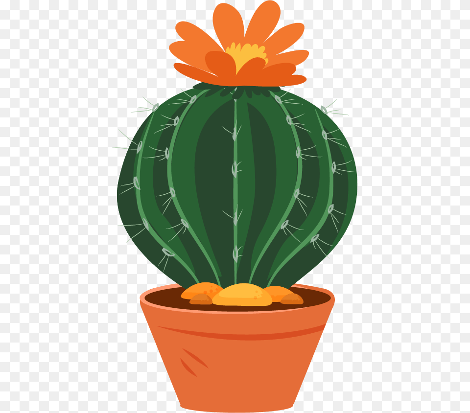 Succulent, Cactus, Plant Free Png Download