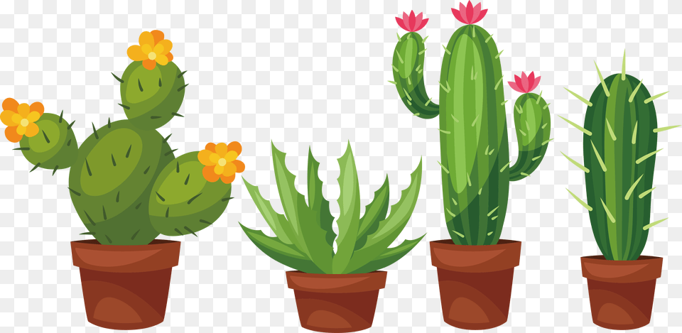 Succulent Clipart Clip Art Royalty Cactus With Flower Drawing, Plant Free Png Download