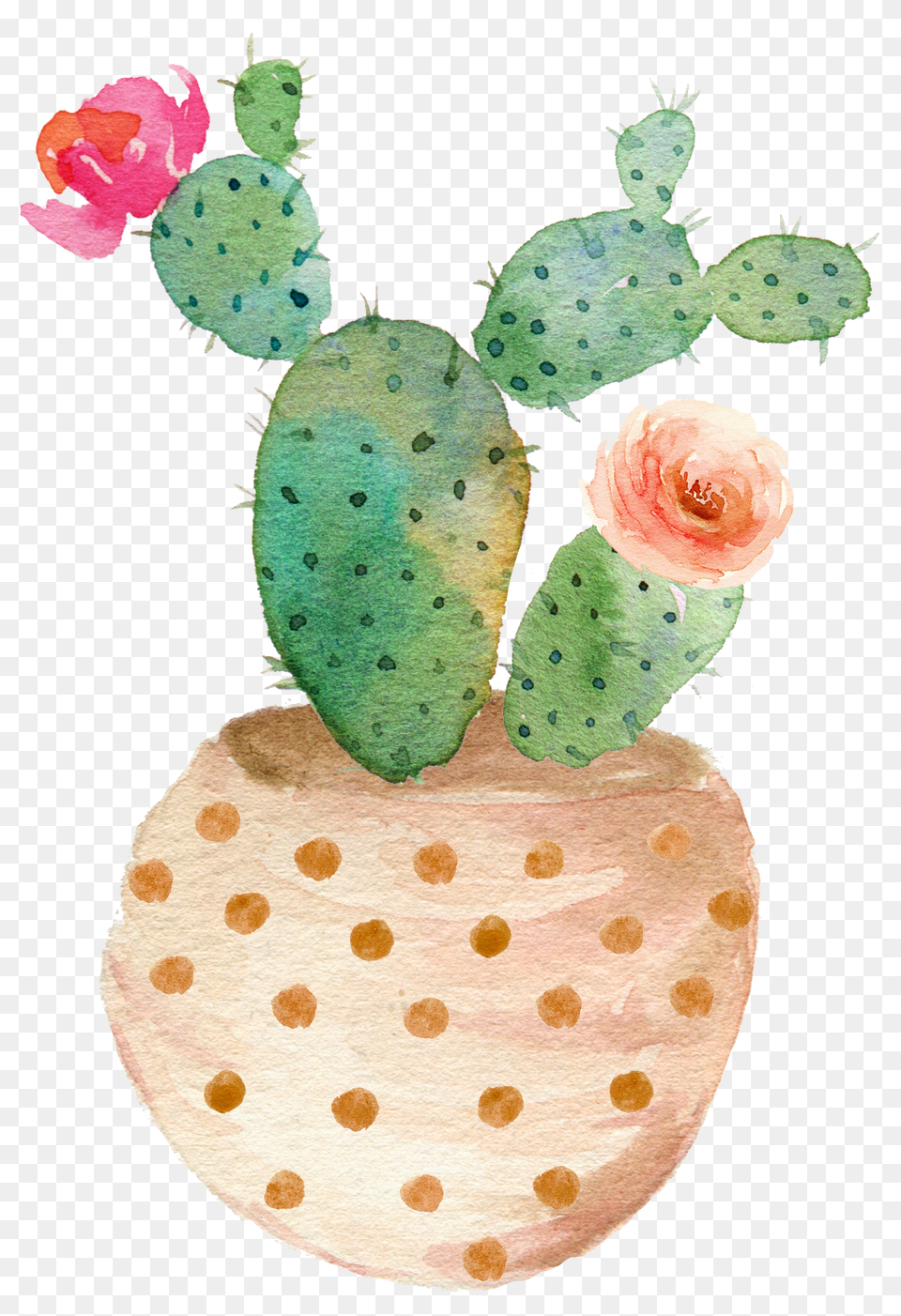 Succulent Clipart Potted Watercolor Clip Art Cactus, Flower, Plant, Rose Png