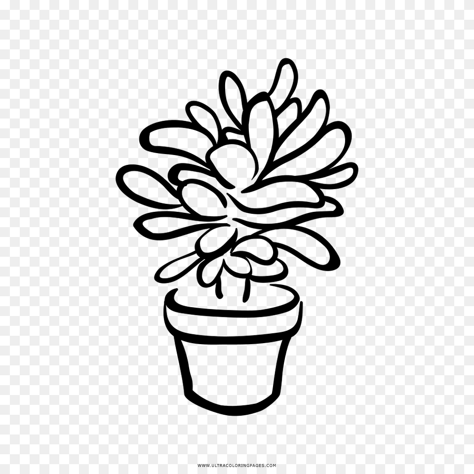 Succulent Coloring, Gray Free Png