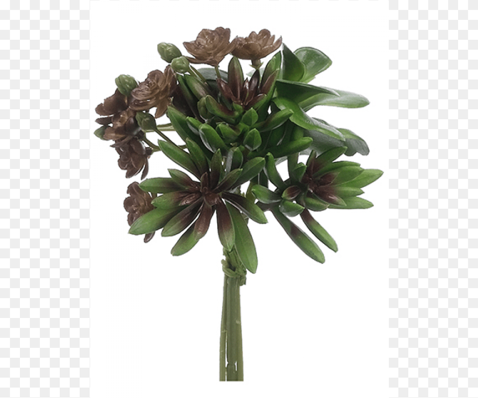 Succulent Garden Bouquet Green Burgundy Artificial Flower, Flower Arrangement, Leaf, Plant, Potted Plant Free Png