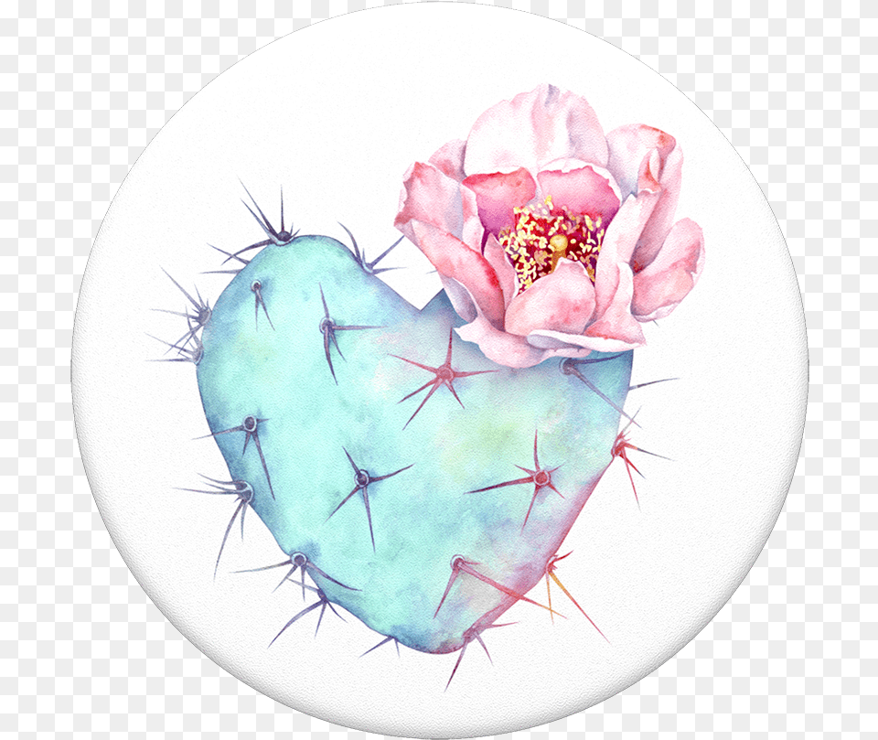 Succulent Heart Popsocket, Flower, Plant, Rose, Petal Free Png Download