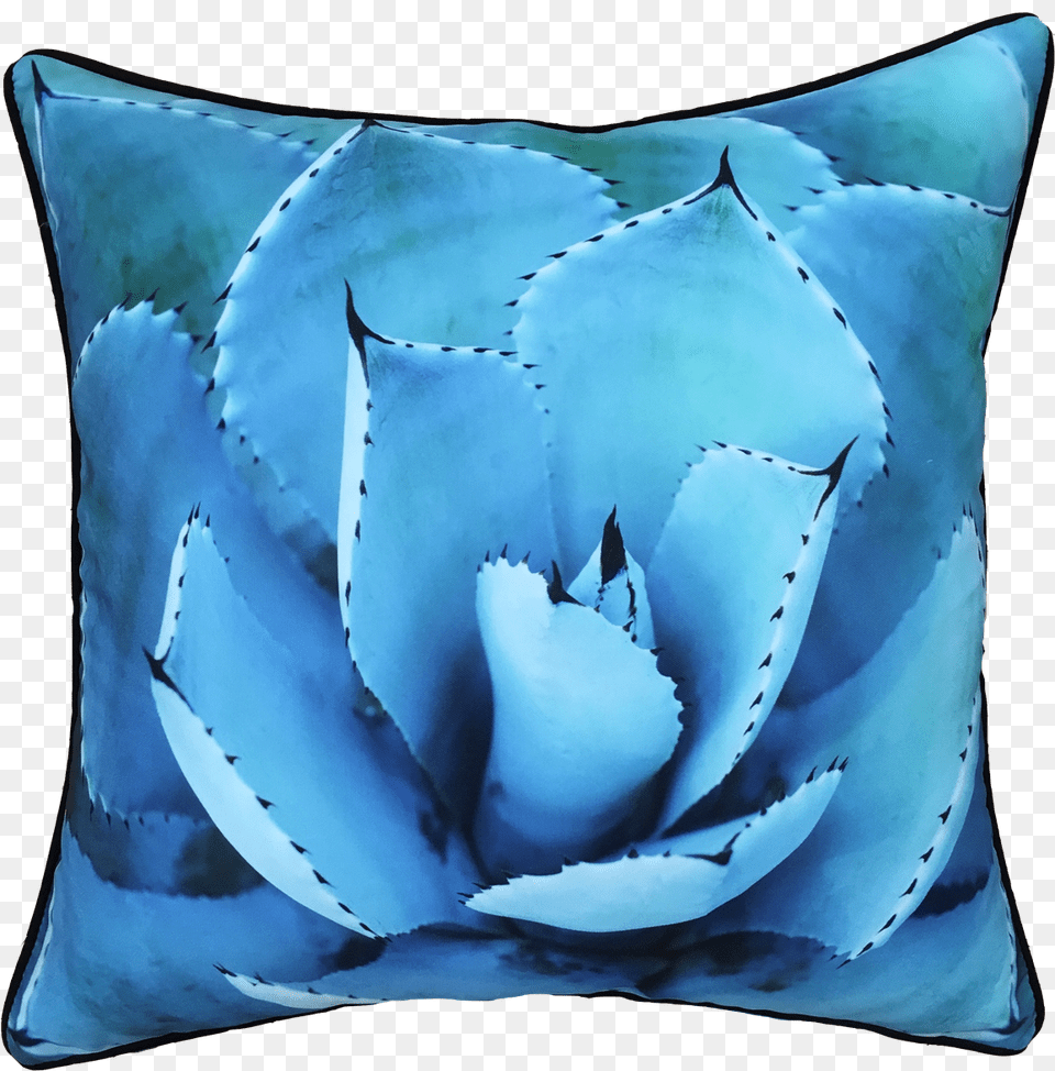 Succulent Plant, Cushion, Home Decor, Pillow, Animal Free Png