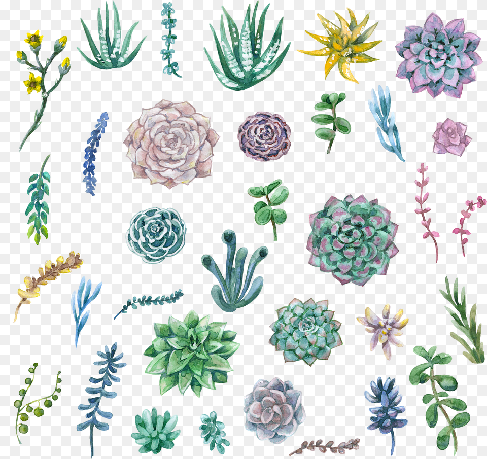 Succulent Svg Papercut Transparent U0026 Clipart Free Animated Succulent Png