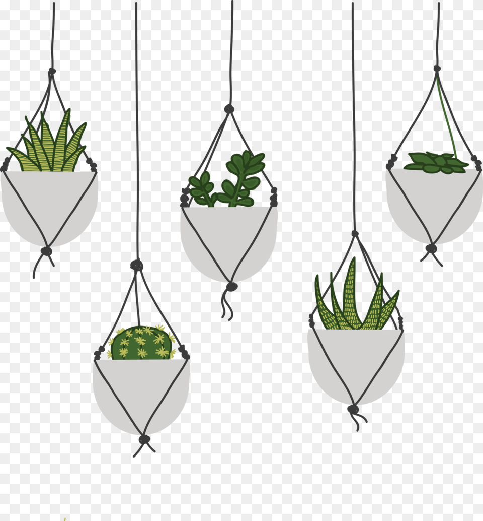 Succulents, Jar, Plant, Planter, Potted Plant Free Png Download