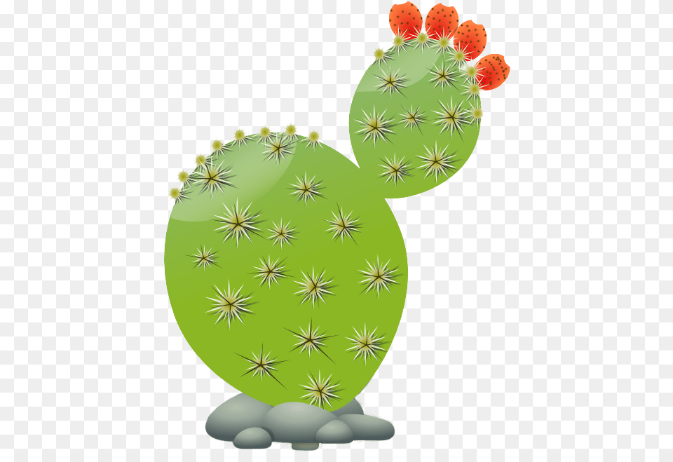 Succulents And Cactus Cactaceae Clip Art Prickly Pear Cactus Clip Art, Plant Free Transparent Png