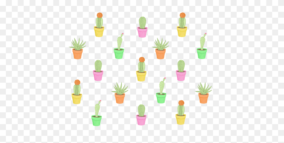 Succulents And Cactus Clip Art, Plant Png