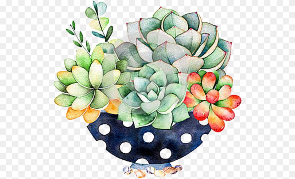 Succulents Cactus Flowerarrangement Handdrawn Watercolor Diamond Painting Kits Cactus, Pattern, Art, Floral Design, Pottery Png