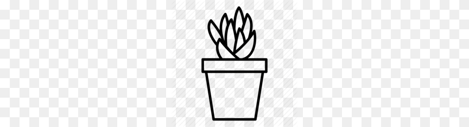 Succulents Clipart, Plant, Potted Plant, Festival, Hanukkah Menorah Png Image