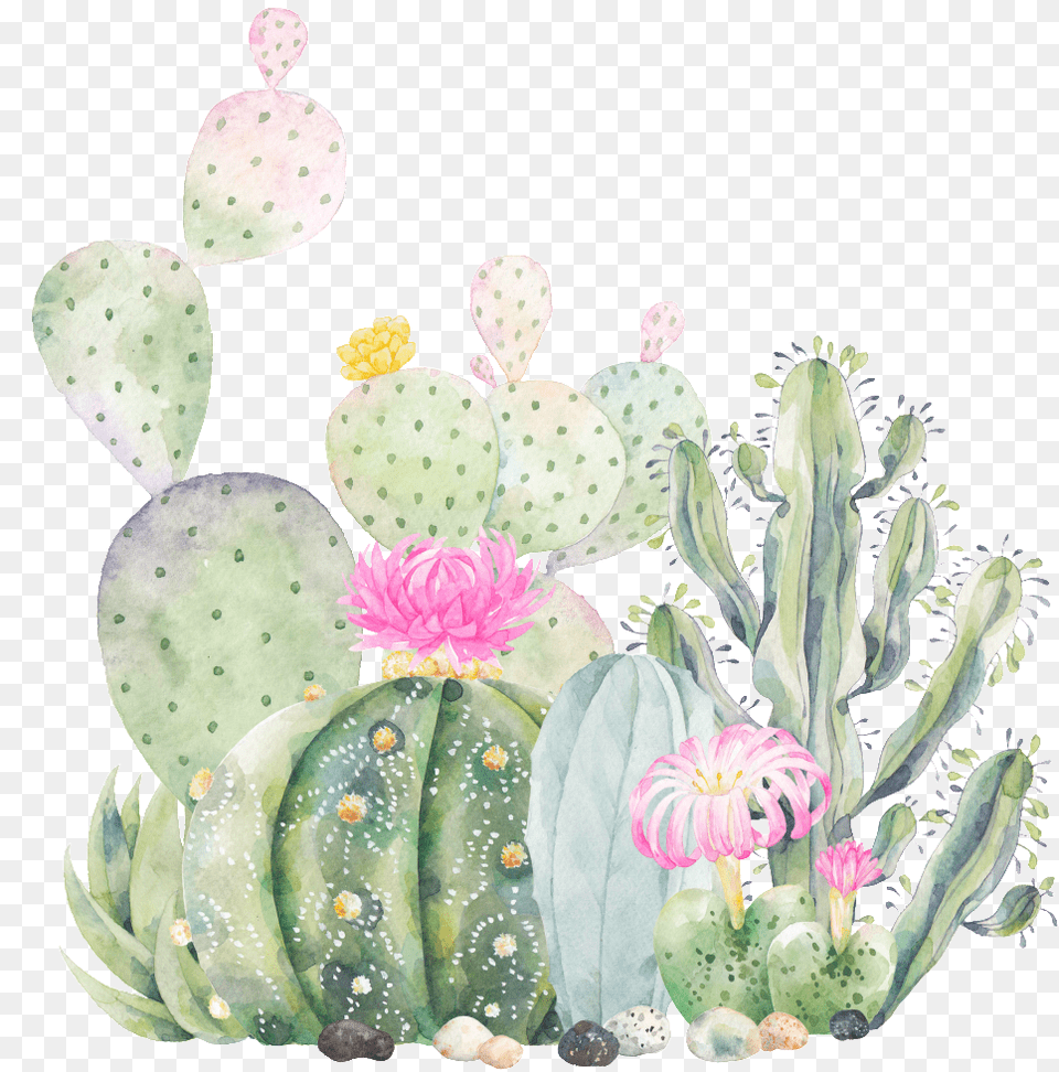 Succulents Clipart Quotes About Broken Verse, Plant, Cactus, Flower Free Png Download
