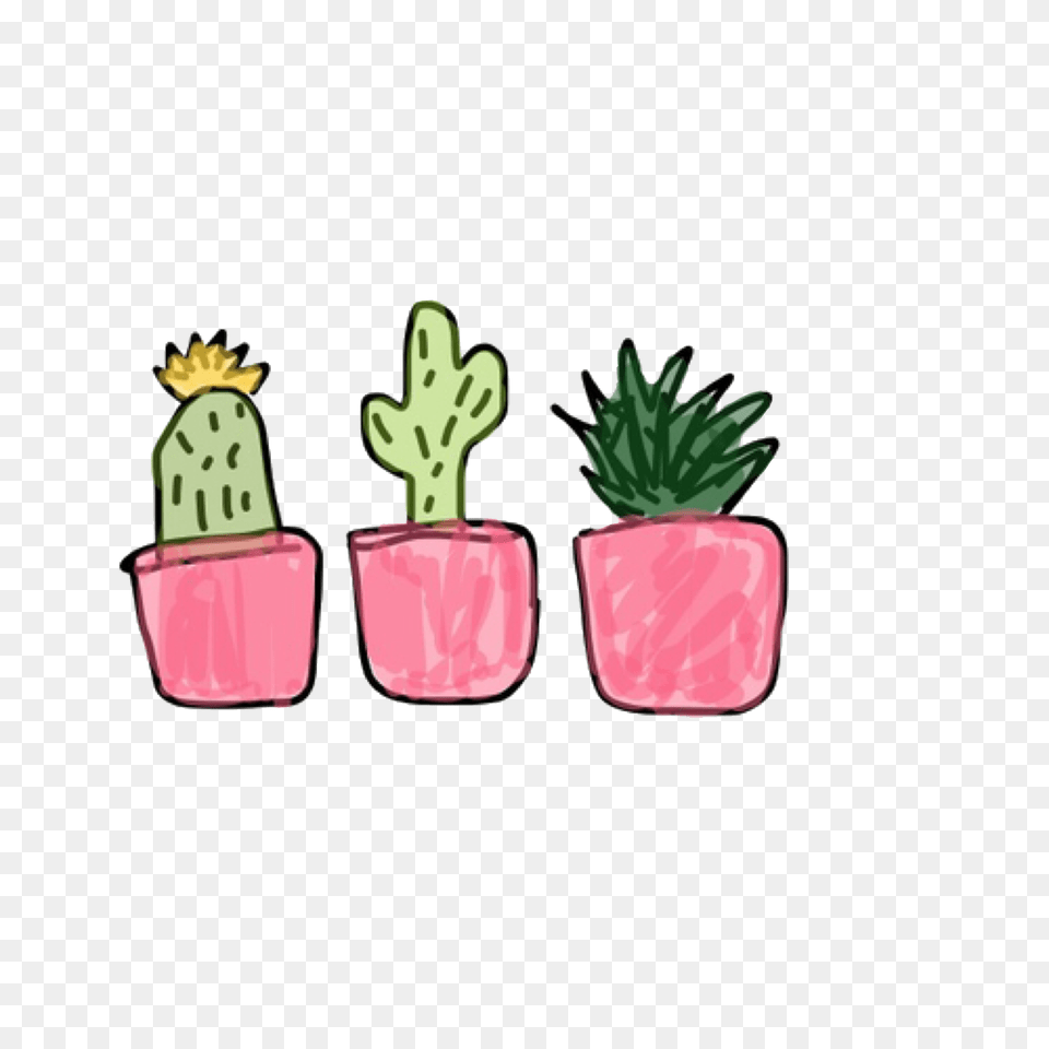 Succulents Green Plants Cute Stickers Freetoedit, Vase, Pottery, Potted Plant, Planter Free Transparent Png