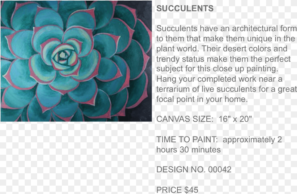 Succulents Popup Paint Studio White Mexican Rose, Art, Floral Design, Graphics, Pattern Free Png