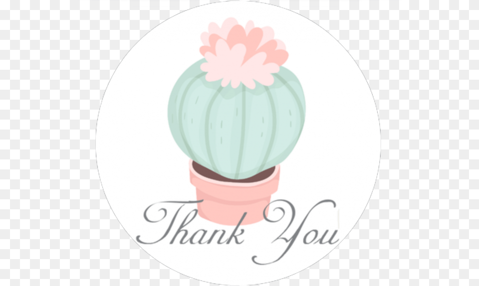 Succulents Thank You Cards, Flower, Plant, Petal, Cake Free Transparent Png