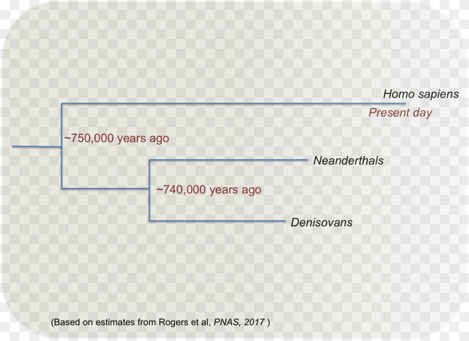 Such Regions Of The Human Genome With Variable Methylation, Text, Diagram, Uml Diagram Free Png