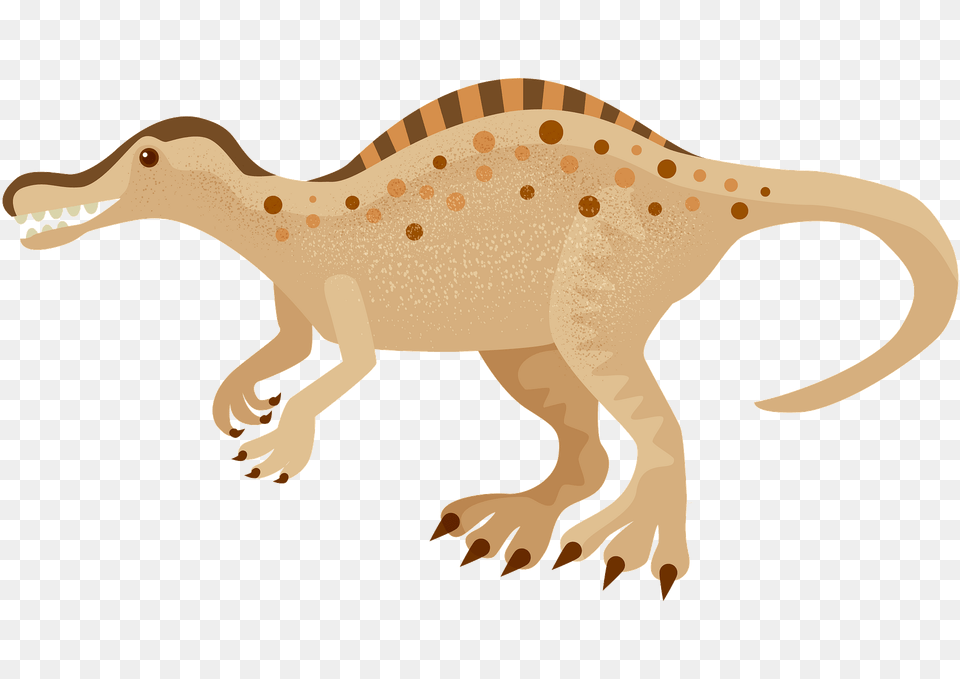 Suchomimus Clipart, Animal, Dinosaur, Reptile, Person Free Png Download