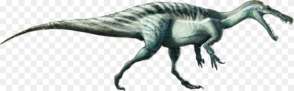 Suchomimustenerensis Suchomimus, Animal, Dinosaur, Reptile, T-rex Free Png