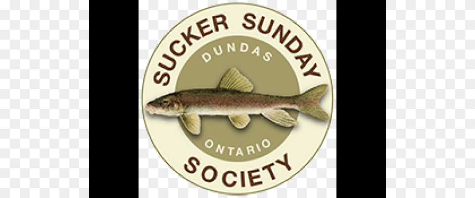 Sucker Sunday April 29th Ontario, Animal, Sea Life, Fish, Disk Png Image