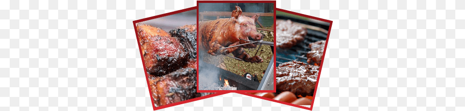 Suckling Pig, Bbq, Cooking, Food, Grilling Free Png