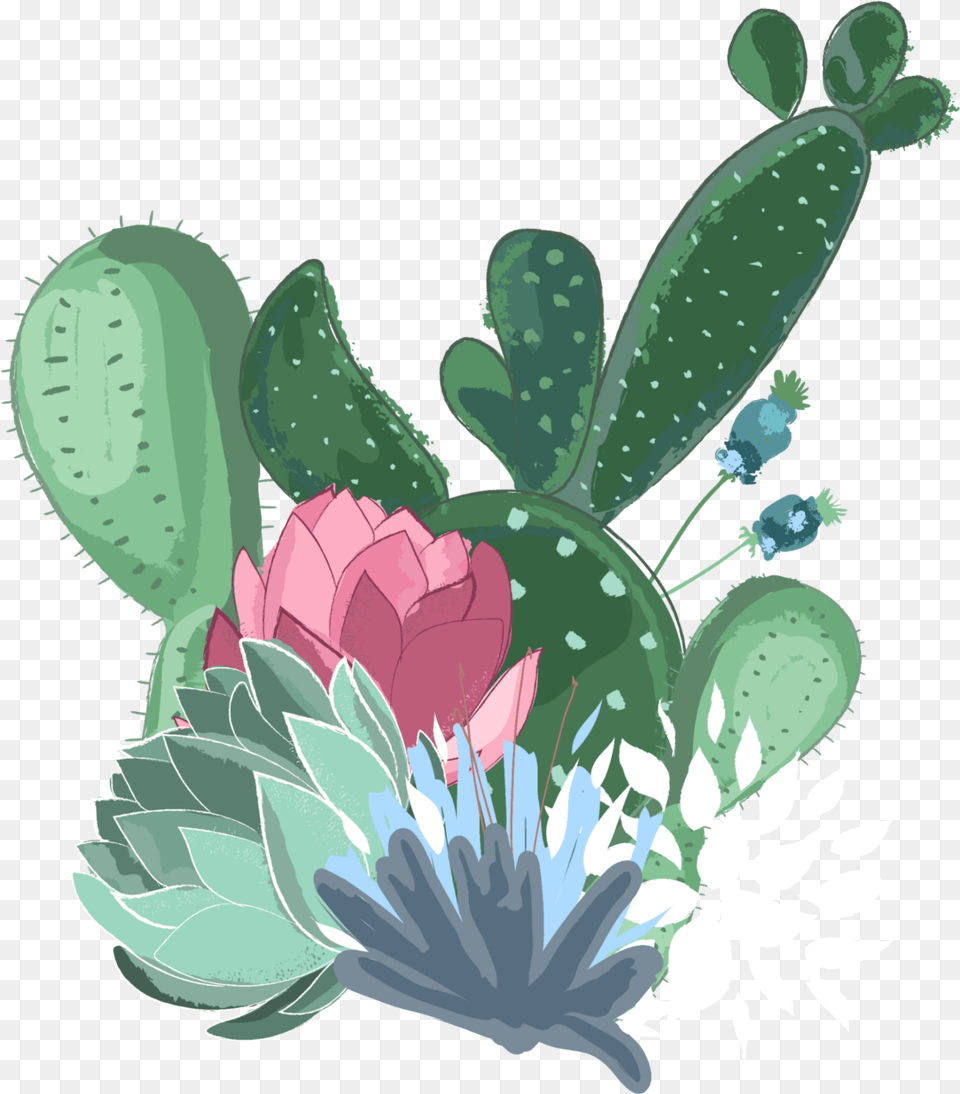 Suculentas Cactus Nopales Sticker Flower, Plant, Pattern Png Image