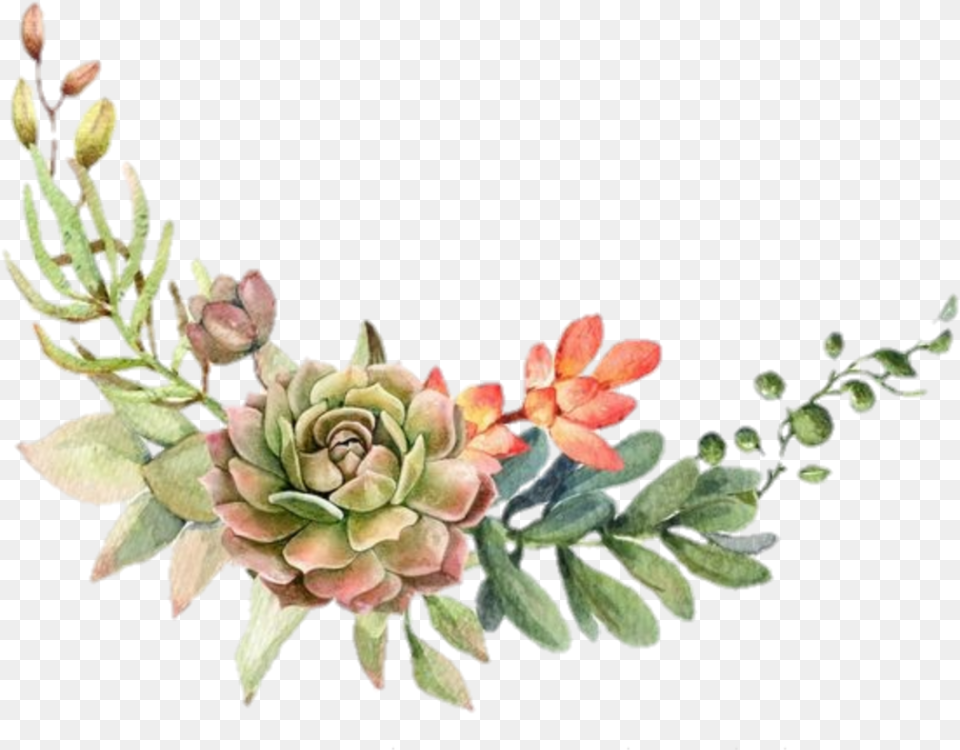 Suculentas Watercolor Cactus Frame, Tree, Plant, Pattern, Graphics Free Png Download