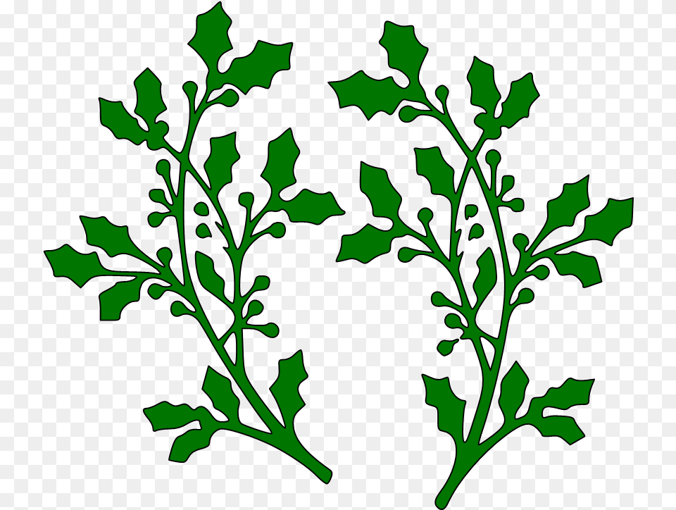 Sue Wilson Holly Spray Die, Leaf, Plant, Pattern, Green Free Transparent Png