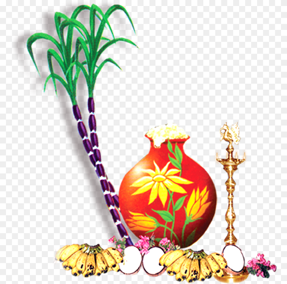 Sugar Cane, Jar, Flower, Flower Arrangement, Plant Png Image