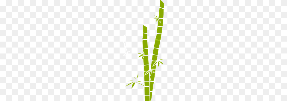 Sugar Cane Bamboo, Plant Free Transparent Png
