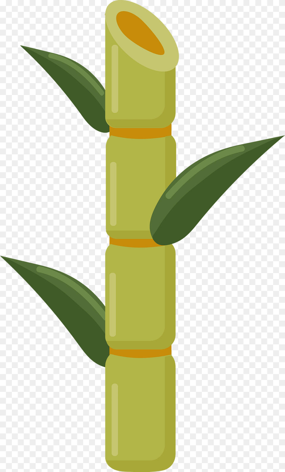 Sugar Cane Clipart, Bamboo, Plant, Dynamite, Weapon Free Transparent Png