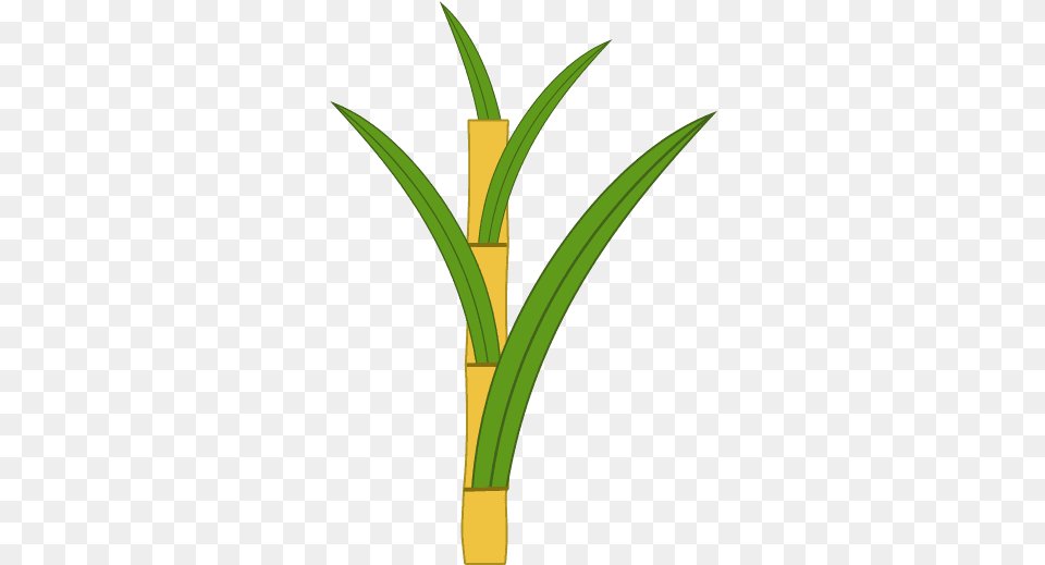 Sugar Cane Icon And Svg Vector Download Vertical, Bow, Weapon, Bamboo, Plant Png