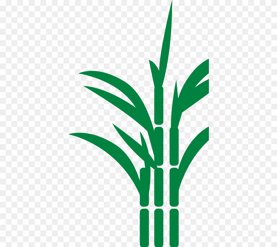 Sugar Cane Icon Bamboo, Plant Free Png Download