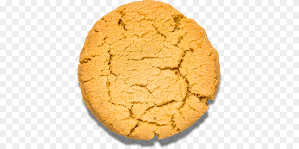 Sugar Cookie Nomoo Cookies Ginger Snap, Food, Sweets, Bread Png Image