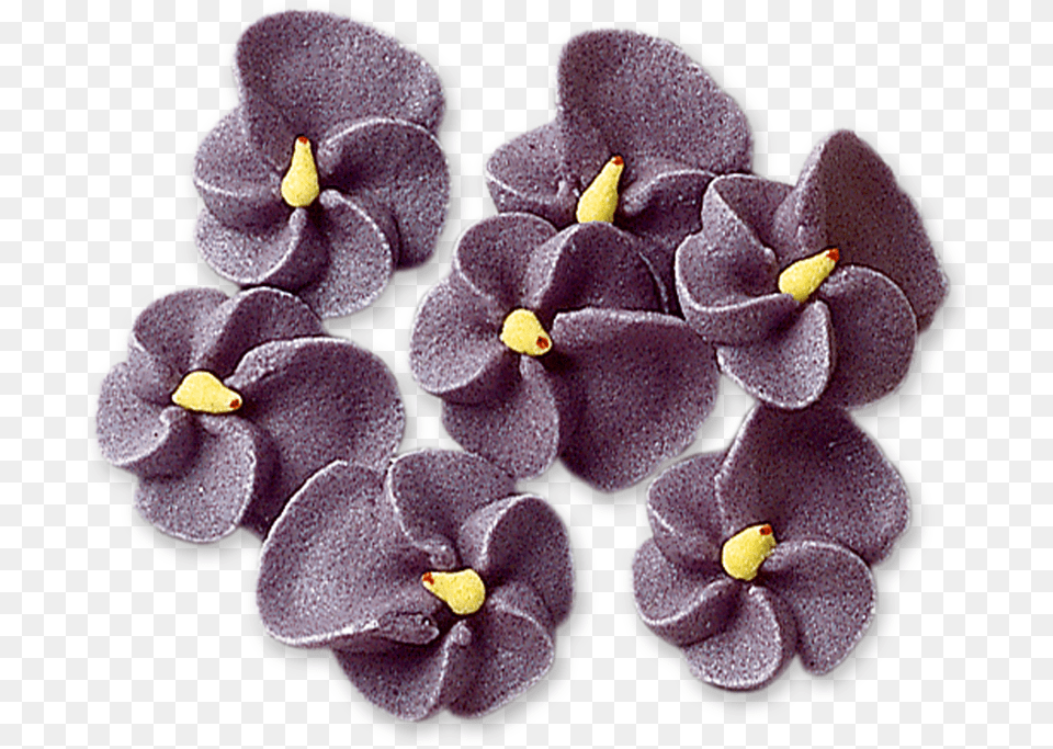 Sugar Flowers For Cakes, Anther, Flower, Plant, Petal Free Transparent Png