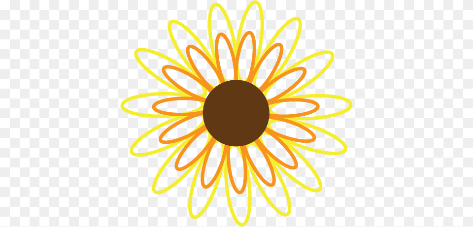 Sugar Hill Records Story Disc, Daisy, Flower, Plant, Sunflower Free Transparent Png