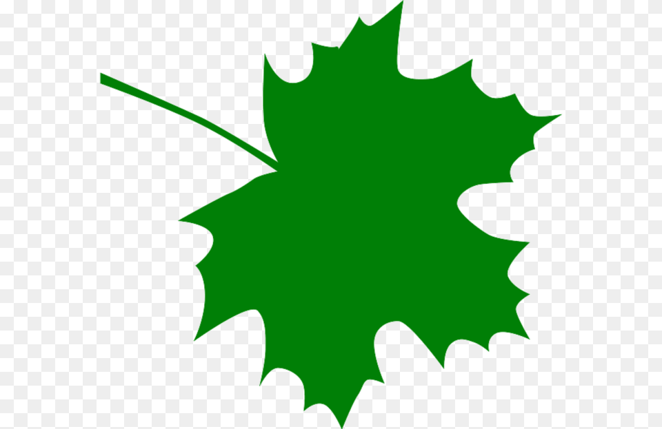 Sugar Maple Leaf Clip Art Black And White, Plant, Tree, Maple Leaf, Animal Free Transparent Png