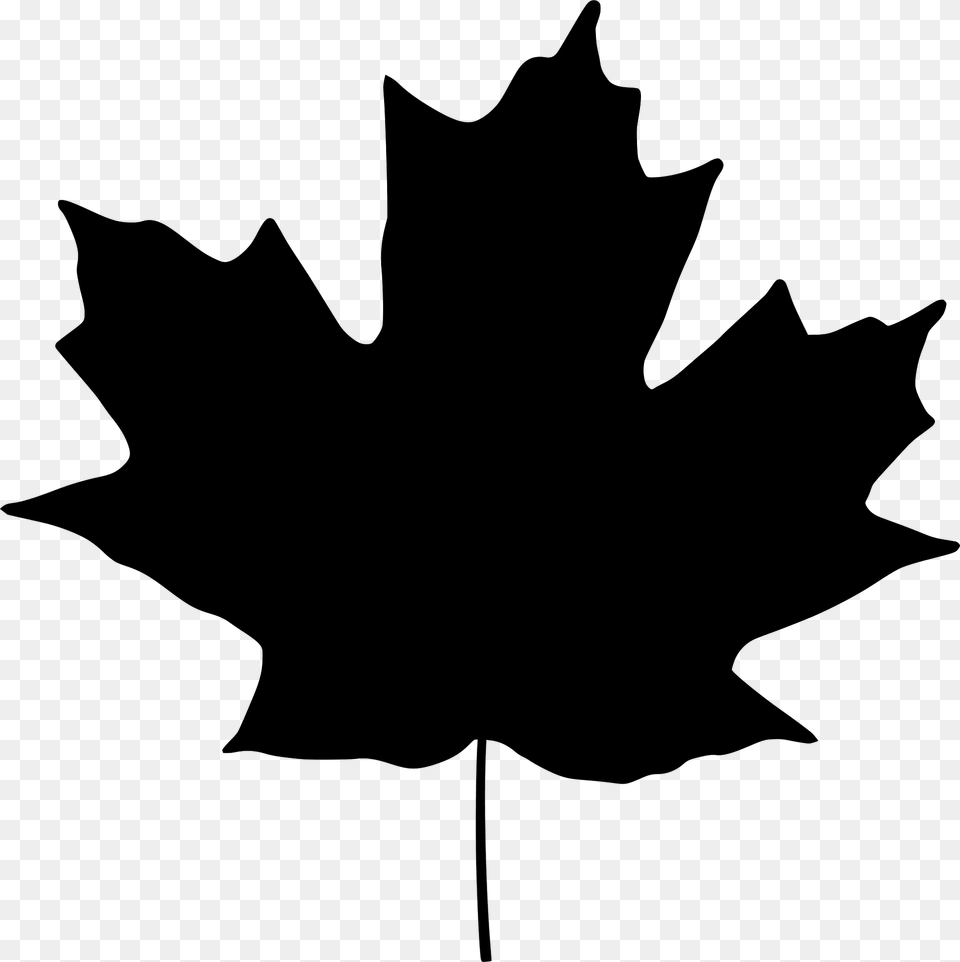 Sugar Maple Leaf Silhouette, Maple Leaf, Plant, Animal, Cat Png Image