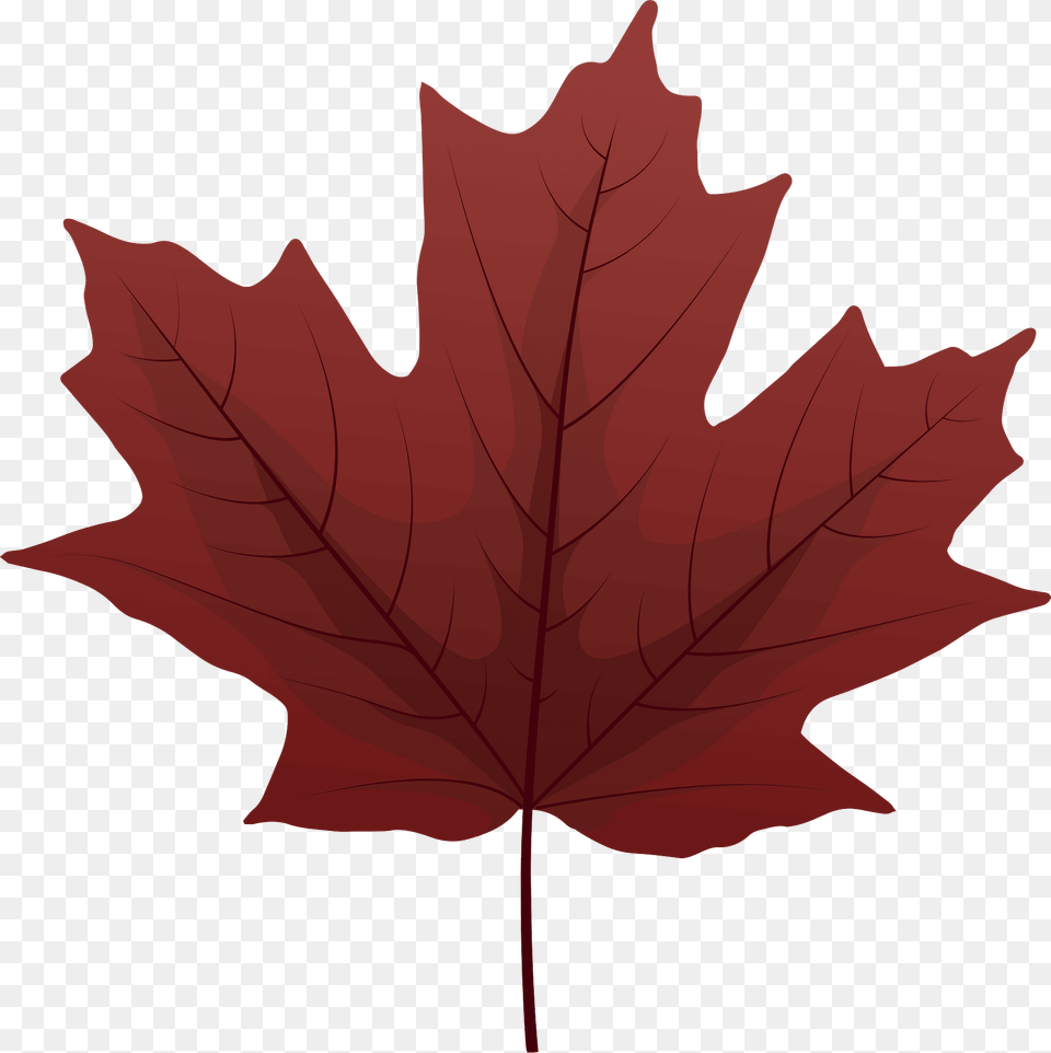 Sugar Maple Red Leaf Clipart, Plant, Tree, Maple Leaf Free Png