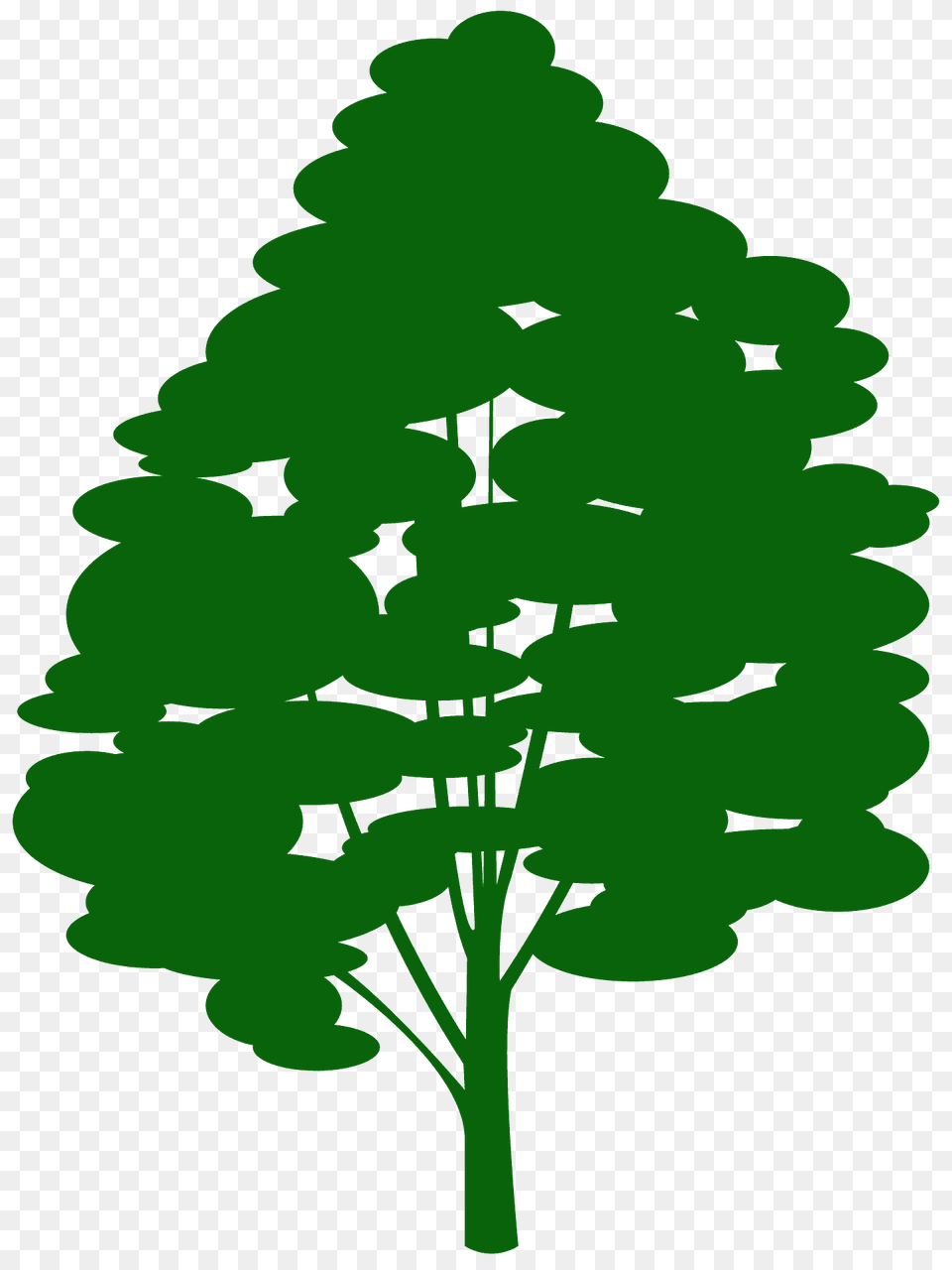 Sugar Maple Silhouette, Green, Plant, Tree, Pine Png