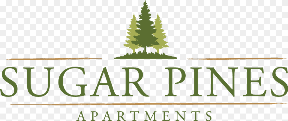 Sugar Pines Apartments In Florissant Mo Property Pine Tree Logo, Plant, Green, Vegetation, Fir Free Png