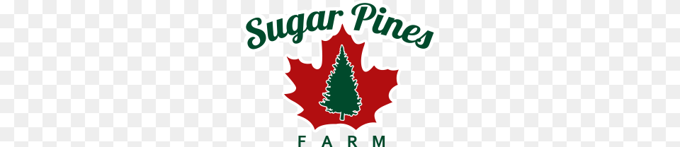 Sugar Pines Farm Operation Evergreen, Leaf, Plant, Tree, Dynamite Png Image
