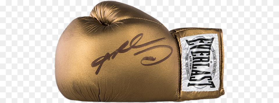 Sugar Ray Leonard Signed Gold Everlast Boxing, Clothing, Glove, Adult, Female Free Png Download