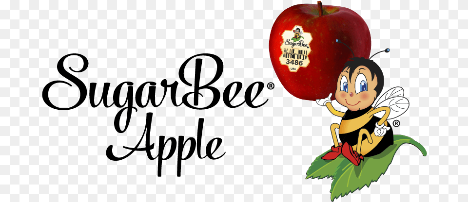 Sugarbee Apples, Apple, Food, Fruit, Plant Free Transparent Png