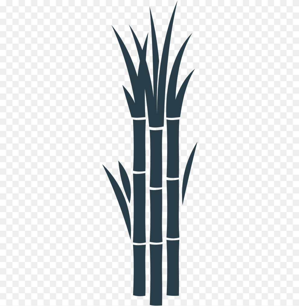 Sugarcane 01 Illustration, Bamboo, Plant Free Png