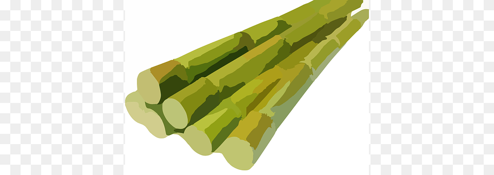 Sugarcane Dynamite, Weapon Png