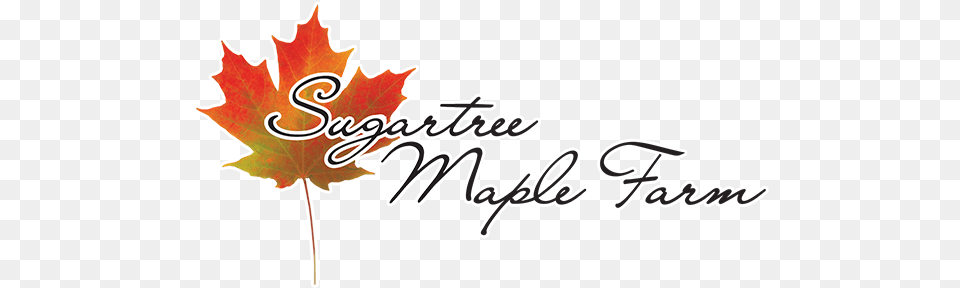 Sugartree Maple Farm, Leaf, Plant, Tree, Maple Leaf Free Png Download